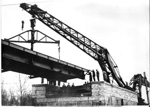 diplodocus03.jpg