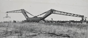 diplodocus02.jpg