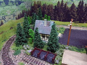 20151205_151554.jpg