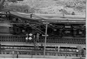diplodocus09.jpg