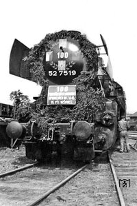 31007.jpg