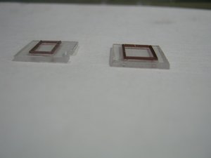 IMG_4856.JPG
