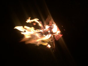 IMG_5425.JPG