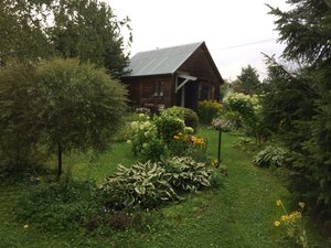 IMG_5398.JPG