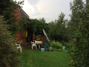 IMG_5399.JPG