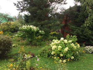 IMG_5400.JPG