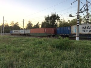 IMG_5377.JPG