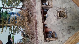 20180915_104102.jpg