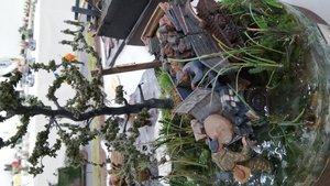20180915_184920.jpg