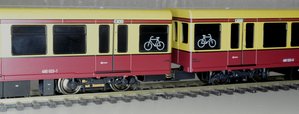 005.JPG