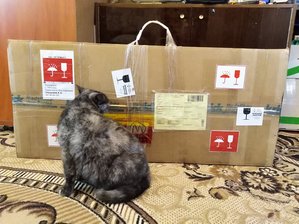 IMG_20181006_133454.jpg