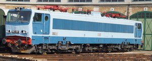 DSC03444.JPG