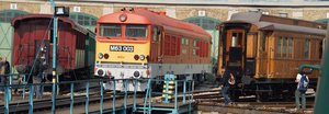 DSC03447.JPG