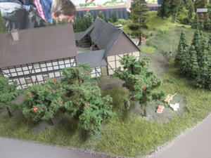 IMG_8434.JPG