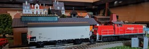 IMG_20181117_095619.jpg