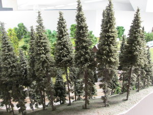 IMG_8502.JPG