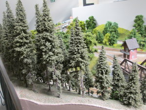 IMG_8503.JPG