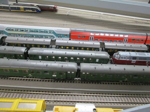 IMG_8499.JPG