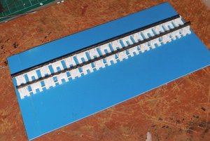 DSCN7019.JPG