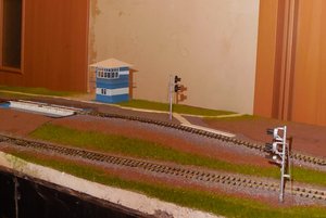 DSCN7131.JPG