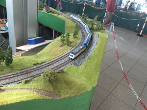 IMG_8841.JPG