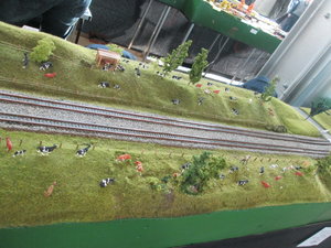 IMG_8843.JPG
