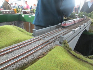 IMG_8844.JPG