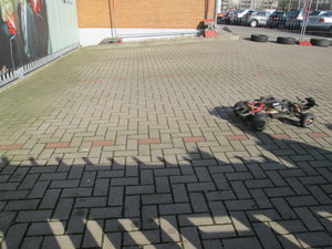 IMG_8864.JPG