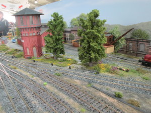IMG_8923.JPG