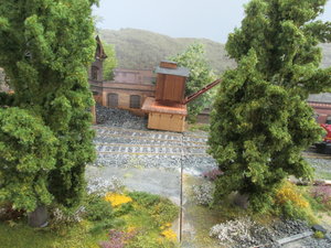 IMG_8924.JPG