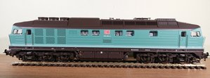 DSC_0731.JPG