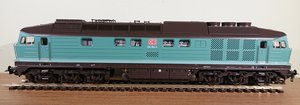 DSC_0732.JPG
