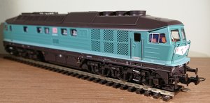 DSC_0733.JPG