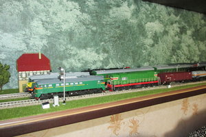IMG_7386.JPG