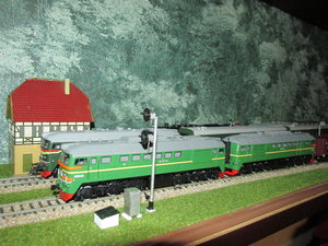 IMG_8342.JPG