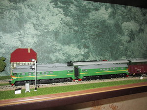 IMG_8339.JPG