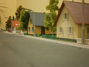 PB260256.JPG