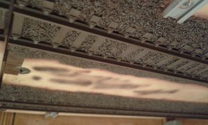 20191007_214753.jpg