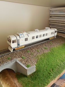 DSCN8717.JPG