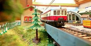 DSC_0010.JPG