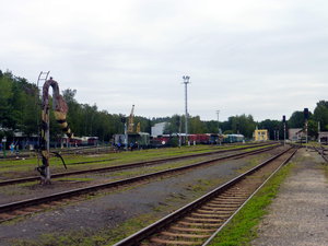 P1350494.JPG