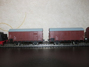 IMG_8875.JPG