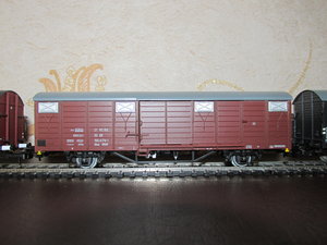 IMG_8873.JPG