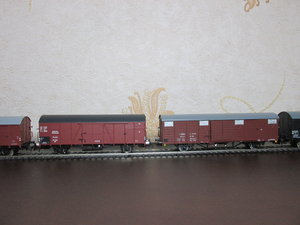 IMG_8893.JPG