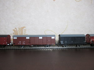 IMG_8895.JPG