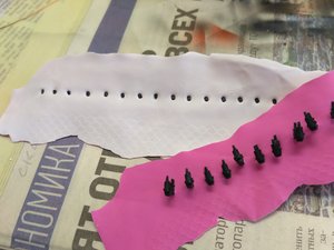 IMG_20191008_165129.jpg