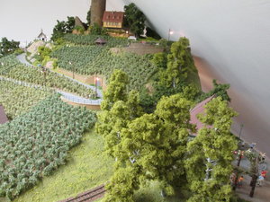 IMG_9844.JPG