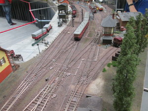 IMG_9851.JPG