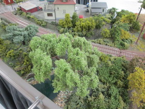 IMG_9852.JPG