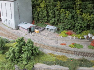 IMG_9866.JPG